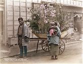 Japanese Flower Peddler