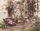 Kago Bearers