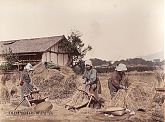 Farmers at Work