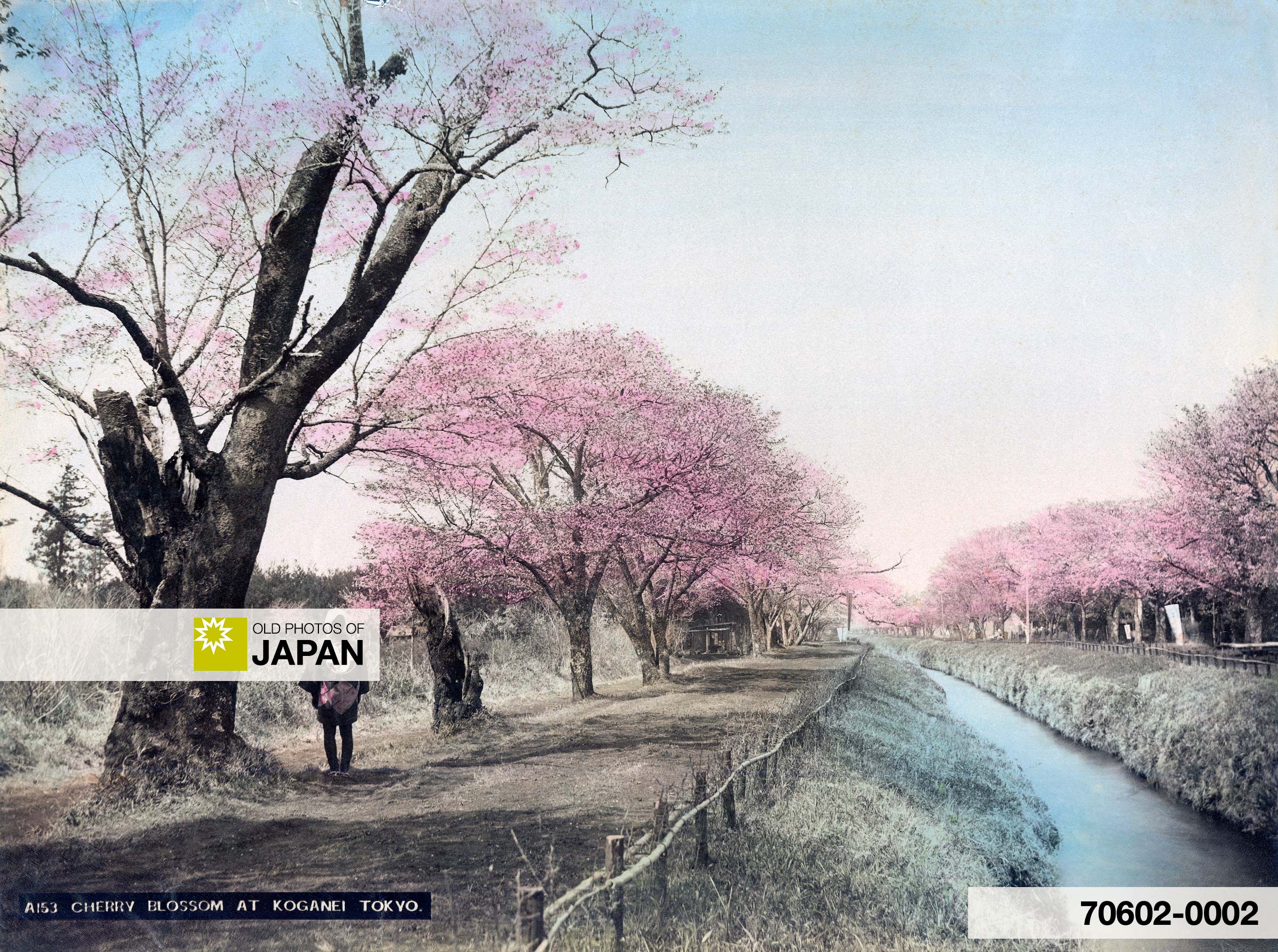 Tokyo 1890s • Koganei