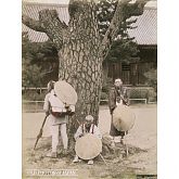 Japanese Pilgrims