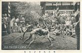 Young Boys doing Sumo