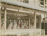 Japanese Prostitutes